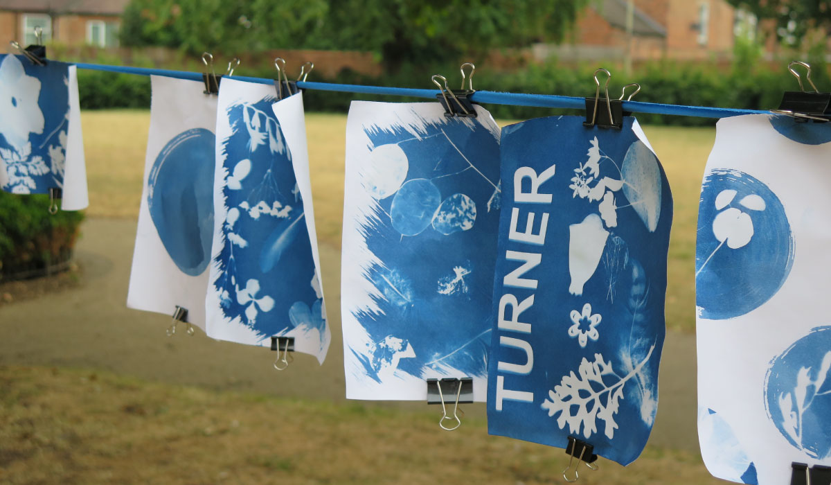 TAI-Cyanotypes-1